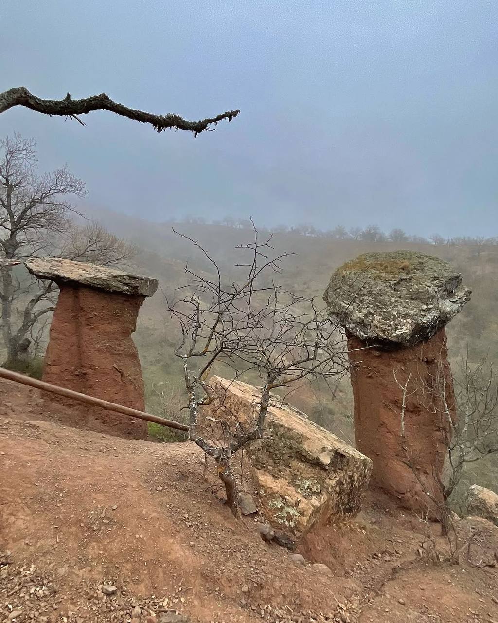 Каменные грибы в Алуште