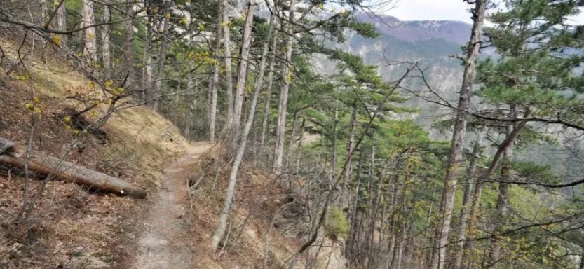 Боткинская тропа — пешеходная тропа в окрестностях Ялты