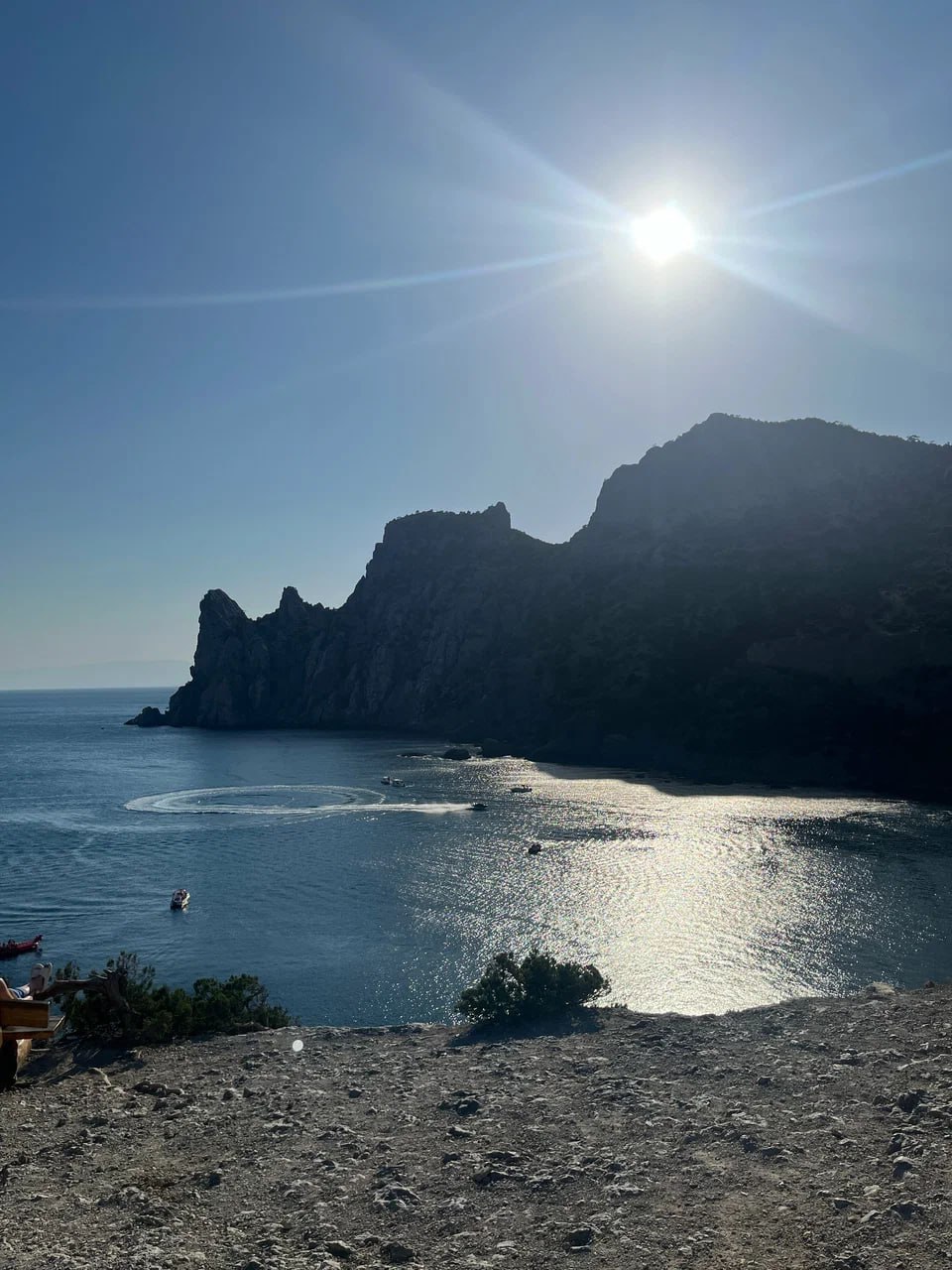 Реликтовая можжевеловая роща в Новом Свете