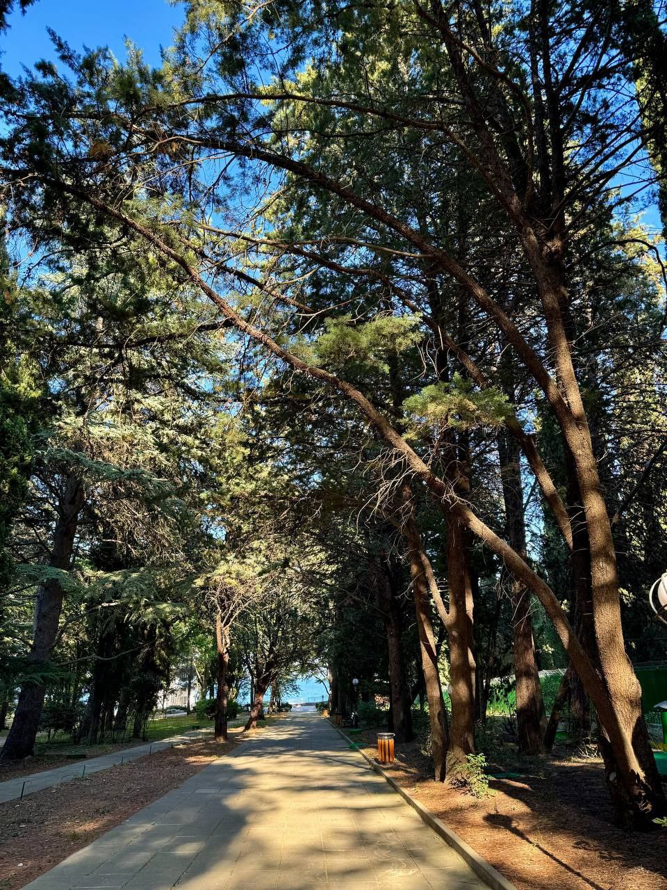 Парк санатория "Крым" в Партените