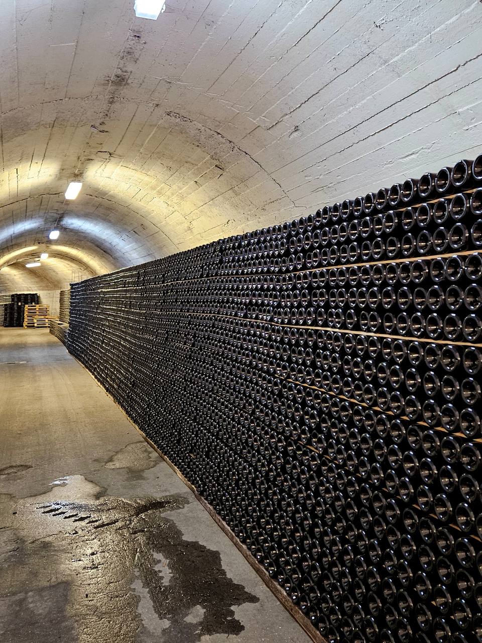 Завод шампанских вин «Новый Свет»