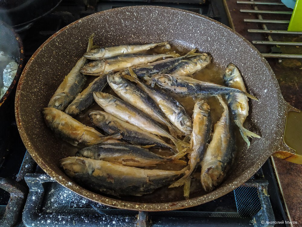 Жареная Крымская или черноморская ставрида